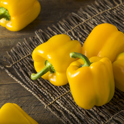 Capsicums Yellow Large NZ